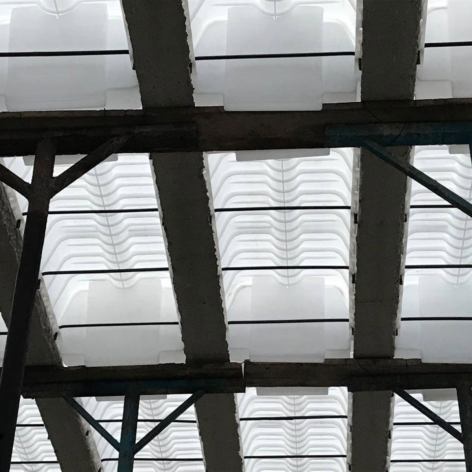 یونولس سفید