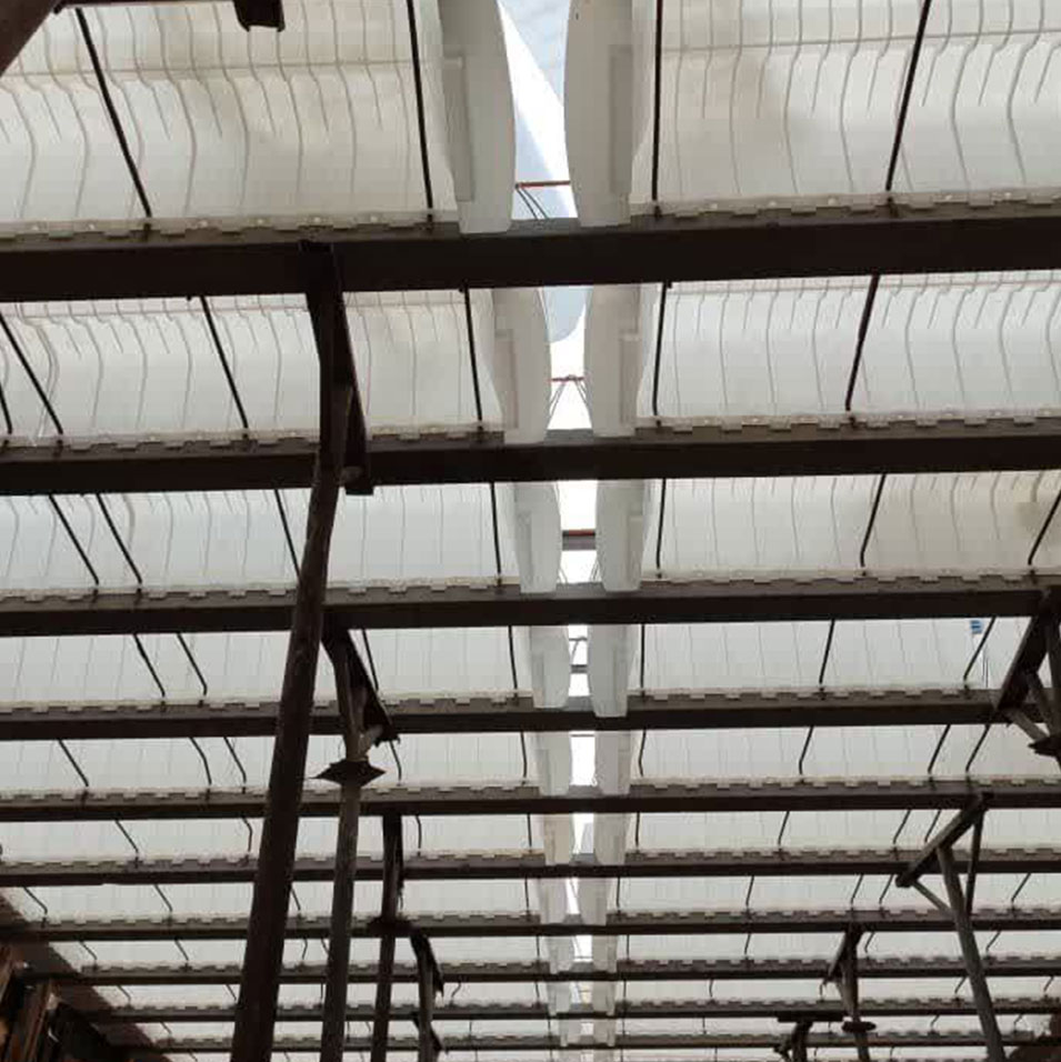 یونولس سفید